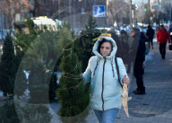 Christmas trees on sale in Kyiv