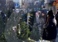Christmas trees on sale in Kyiv