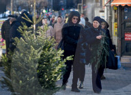 Christmas trees on sale in Kyiv