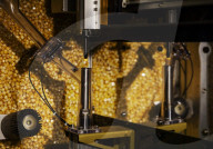 Bayer AG designs more resilient "short" corn