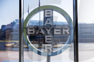 Bayer AG designs more resilient "short" corn