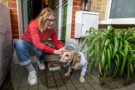 Bark! The Herald Angels sing? A dogs' nativity play in London - in pictures