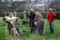 Bark! The Herald Angels sing? A dogs' nativity play in London - in pictures