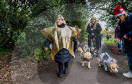 Bark! The Herald Angels sing? A dogs' nativity play in London - in pictures