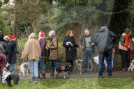 Bark! The Herald Angels sing? A dogs' nativity play in London - in pictures
