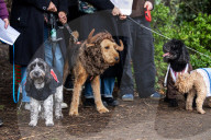 Bark! The Herald Angels sing? A dogs' nativity play in London - in pictures