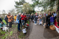 Bark! The Herald Angels sing? A dogs' nativity play in London - in pictures