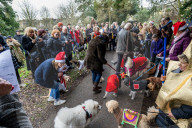 Bark! The Herald Angels sing? A dogs' nativity play in London - in pictures