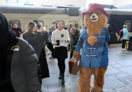 Paddington Bear visits Ukraine