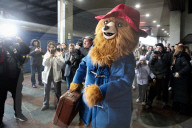 Paddington Bear visits Ukraine