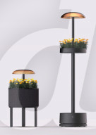Lamps for growing plants in apartments