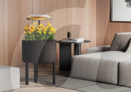 Lamps for growing plants in apartments