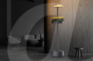 Lamps for growing plants in apartments
