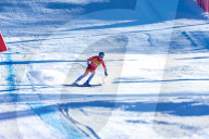 SPORT INVERNALI - Sci Alpino - AUDI FIS Ski World Cup - Downhill - Men
