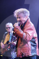 LITTLE BOB BLUES BASTARDS