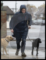 New Year's Day weather 