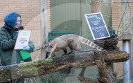 ZSL London Zoo's Annual Stocktake at London Zoo, Regent’s Park, London, UK.