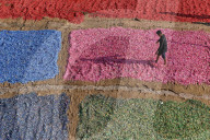 FEATURE - SN_COLOURFUL_PLASTIC_01
