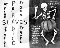 Zodiac Killer 