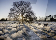 Sub-zero temperatures in London, UK.