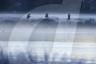 Sub-zero temperatures in London, UK.