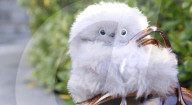 Bag riding robot behaves like a bashful baby