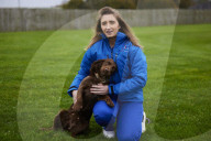 Meet Gem the cocker spaniel - the face of UK pet cloning