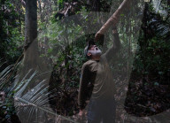 'They knew that we were here': following in the footsteps of the uncontacted Pardo River Kawahiva people
