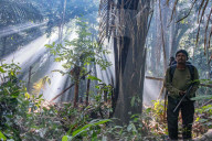 'They knew that we were here': following in the footsteps of the uncontacted Pardo River Kawahiva people