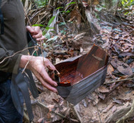 'They knew that we were here': following in the footsteps of the uncontacted Pardo River Kawahiva people