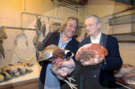 Schneider Bruno - Archives - No Web - Gérard Depardieu