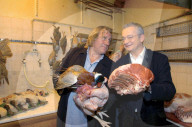 Schneider Bruno - Archives - No Web - Gérard Depardieu