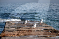 Odesa beach in winter
