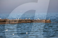 Odesa beach in winter
