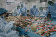 Uncovering Iraq's mass graves: the painstaking search for missing loved ones.