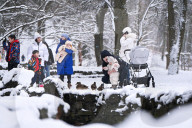 Stryiskyi Park in Lviv in winter