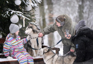 Stryiskyi Park in Lviv in winter