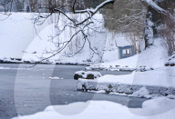 Stryiskyi Park in Lviv in winter