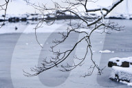 Stryiskyi Park in Lviv in winter