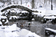 Stryiskyi Park in Lviv in winter