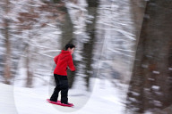 Stryiskyi Park in Lviv in winter