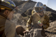 Firefighters battle Los Angeles area wildfires