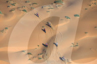 DAKAR 2025 - Stage 12