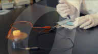 Compostable paper battery for a greener future