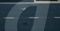 Robot dog can do 100 metres in 10 seconds