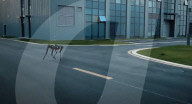Robot dog can do 100 metres in 10 seconds