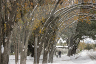 Houston Hit With Arctic Snow Storm