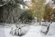 Houston Hit With Arctic Snow Storm