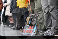 Lyiv rally for Ukrainian POWs 
