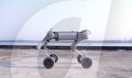 New robot dog at home in water